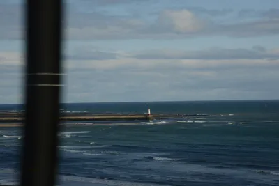 DSC_7225 (Large).JPG